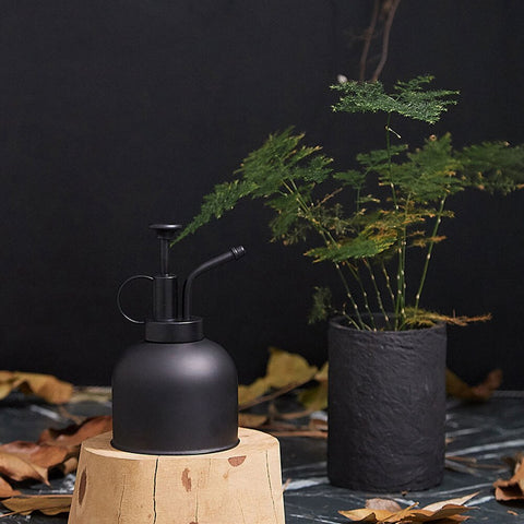 brumisateur plantes noir