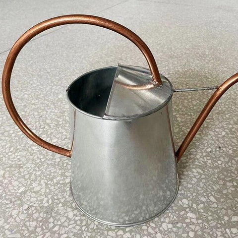 arrosoir zinc